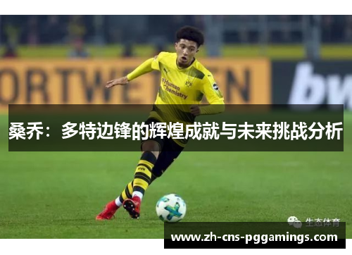 桑乔：多特边锋的辉煌成就与未来挑战分析